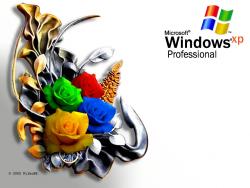 Windows-Crazy Roses Original Right